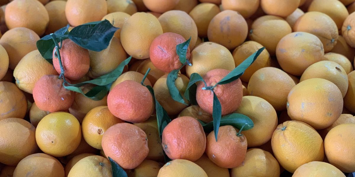 Naranjas y mandarinas, beneficios de su consumo