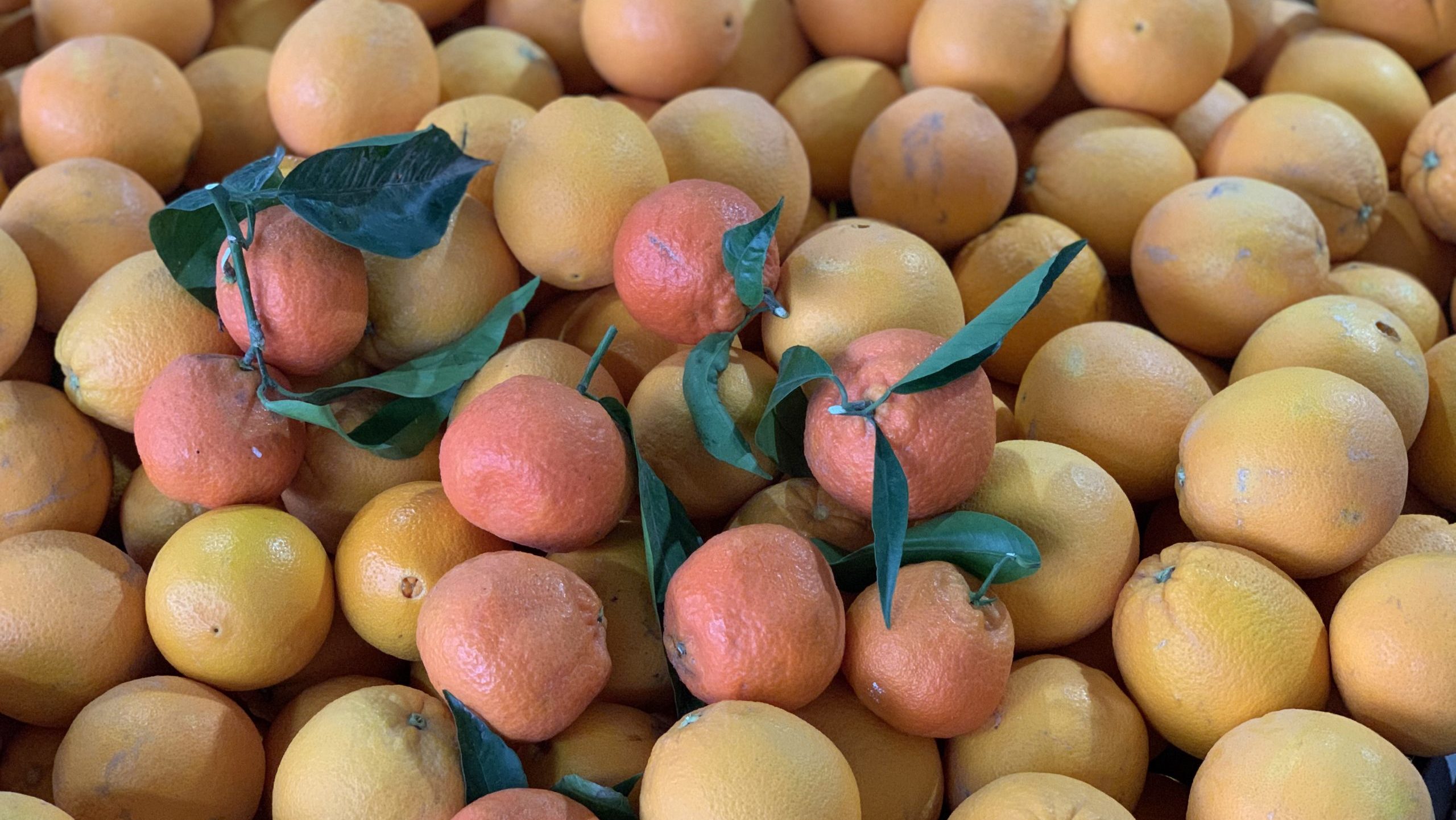 Naranjas y mandarinas, beneficios de su consumo